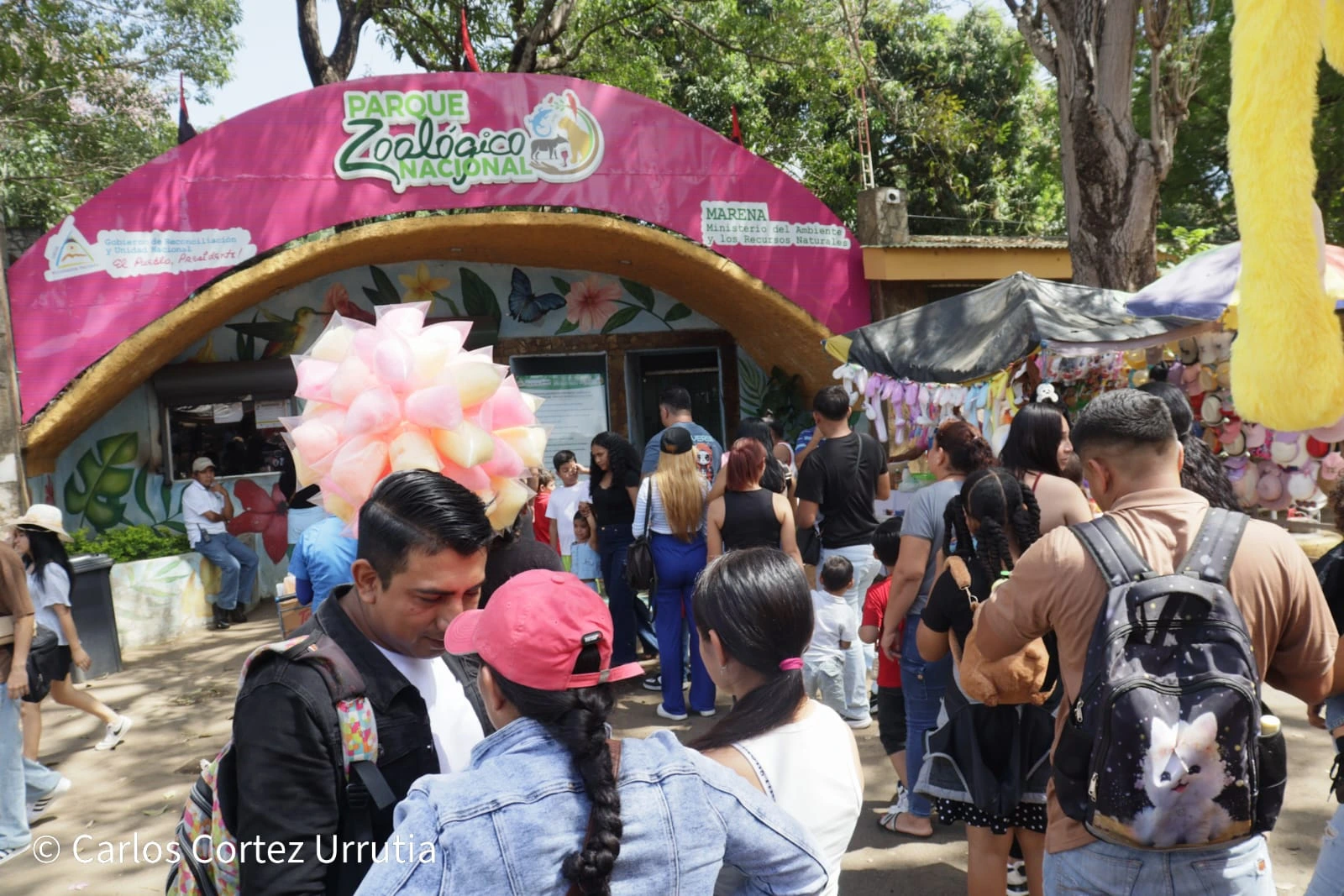 ZOOLOGICO-(17)