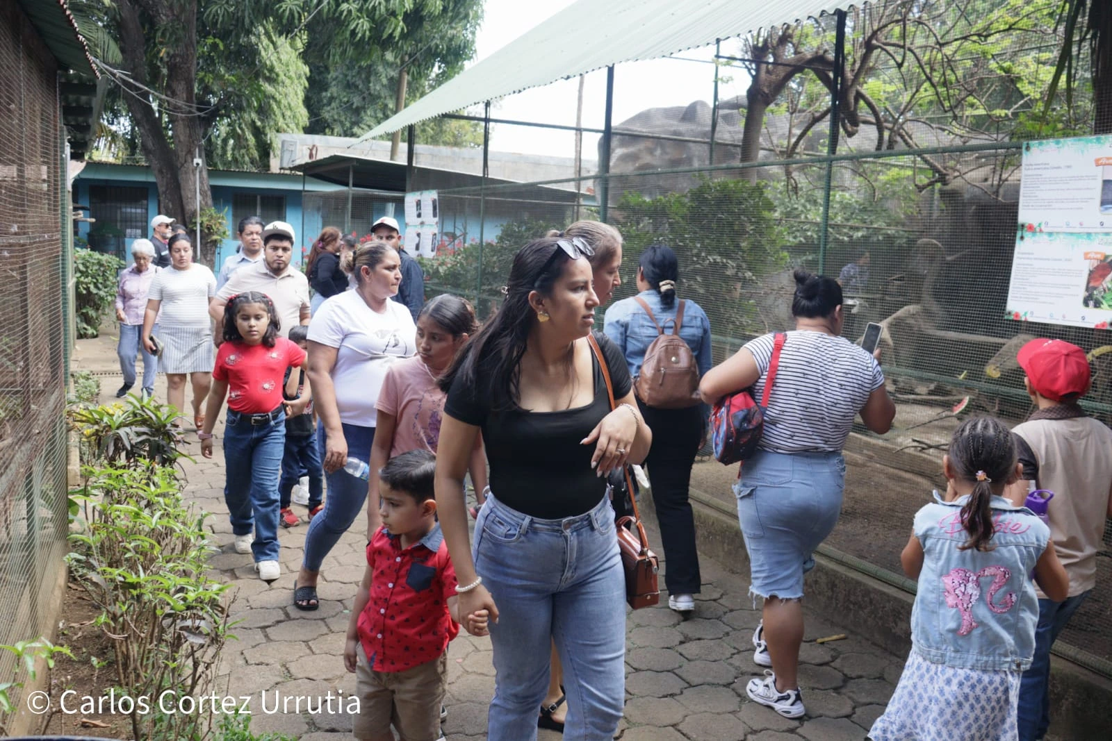 ZOOLOGICO-(2)
