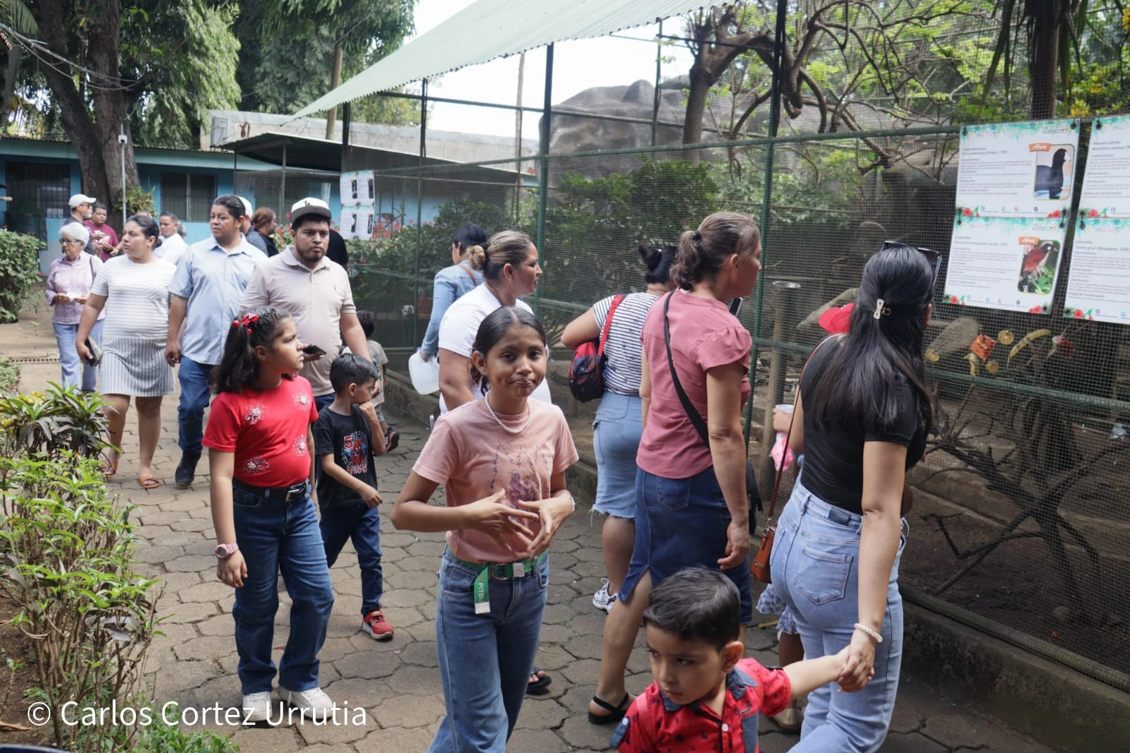 ZOOLOGICO-(3)