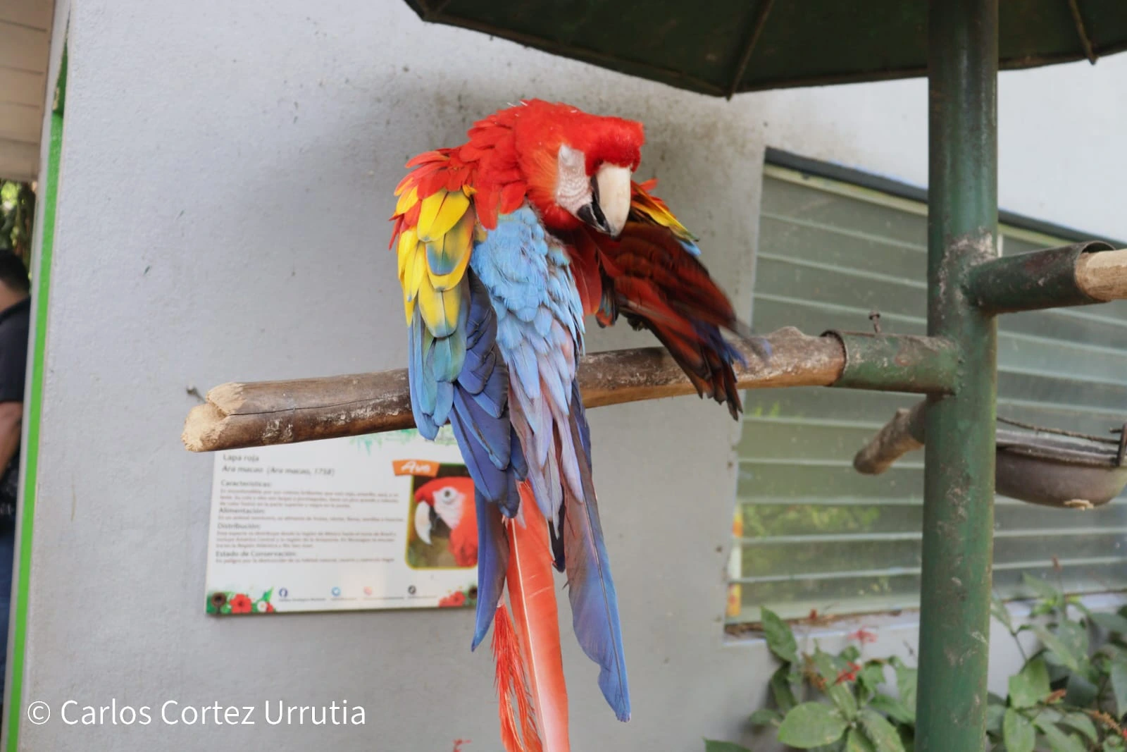 ZOOLOGICO-(4)