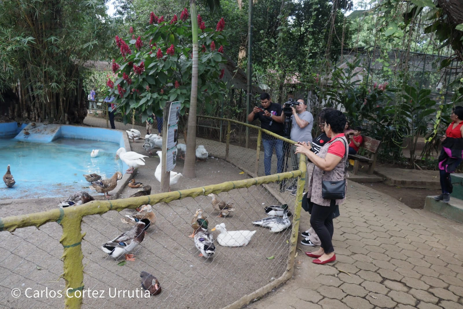 ZOOLOGICO-(8)
