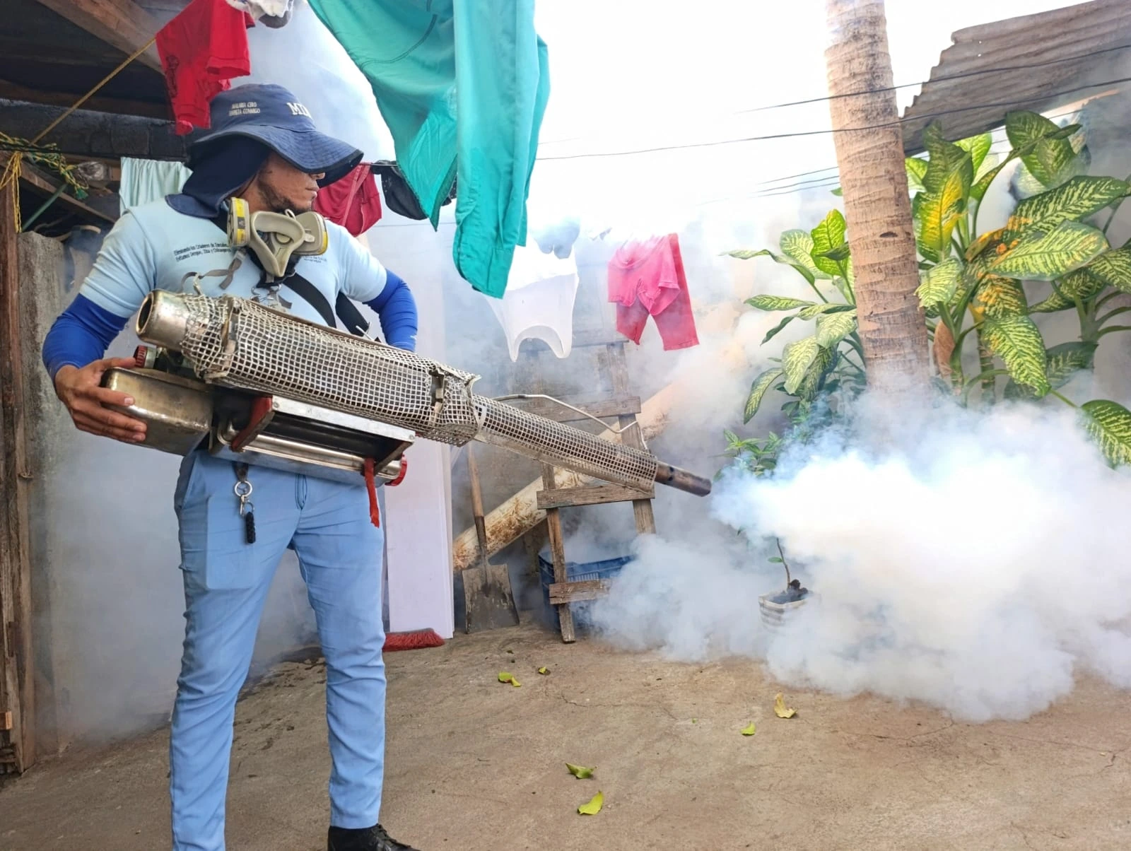 FUMIGACION1