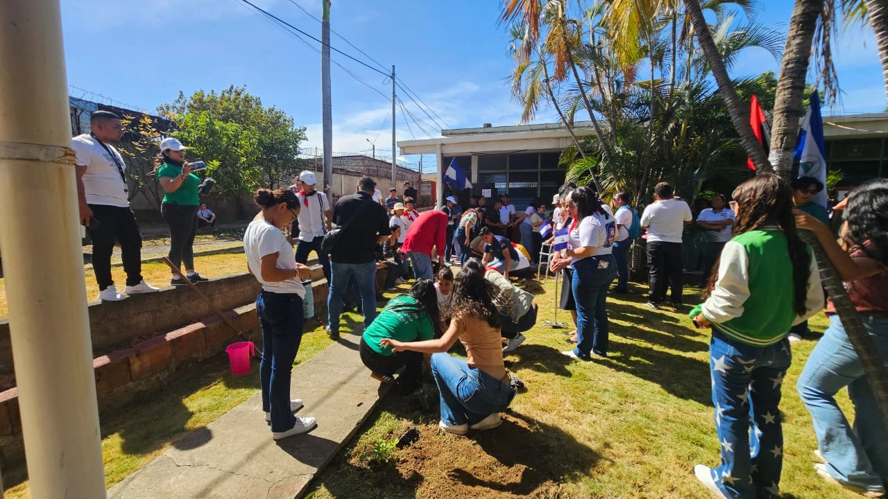 REFORESTACION1