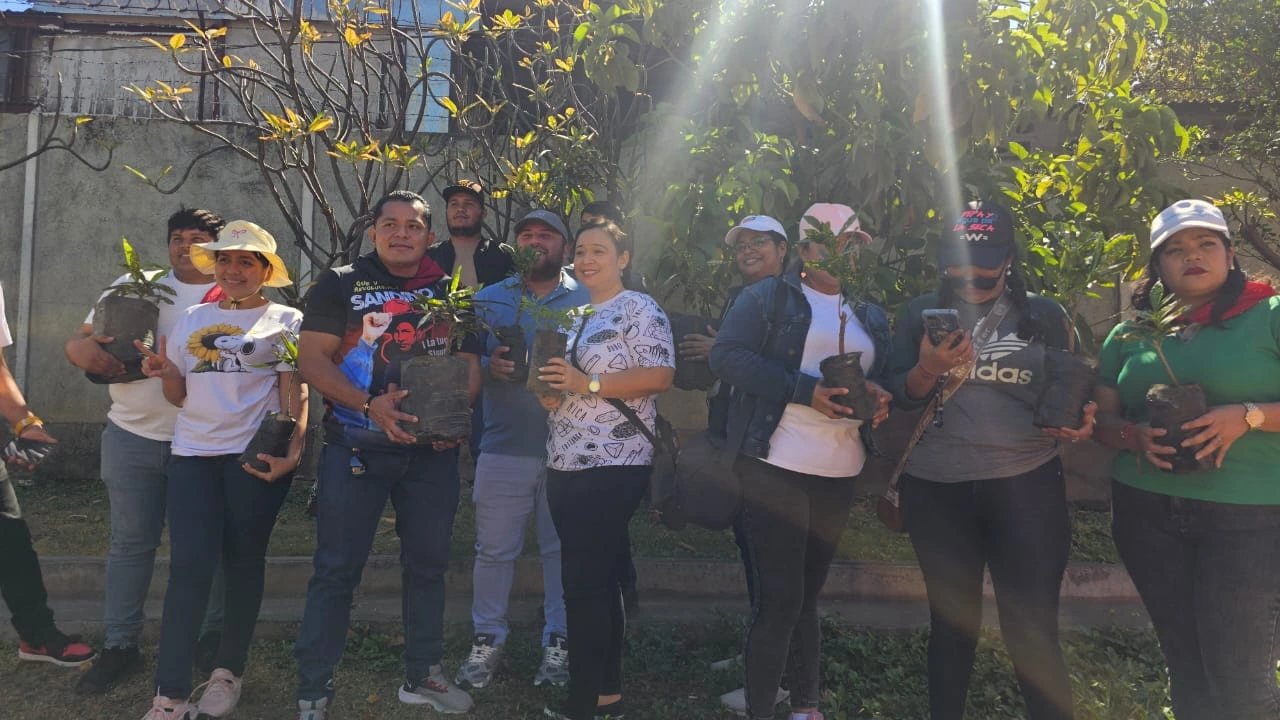 REFORESTACION11