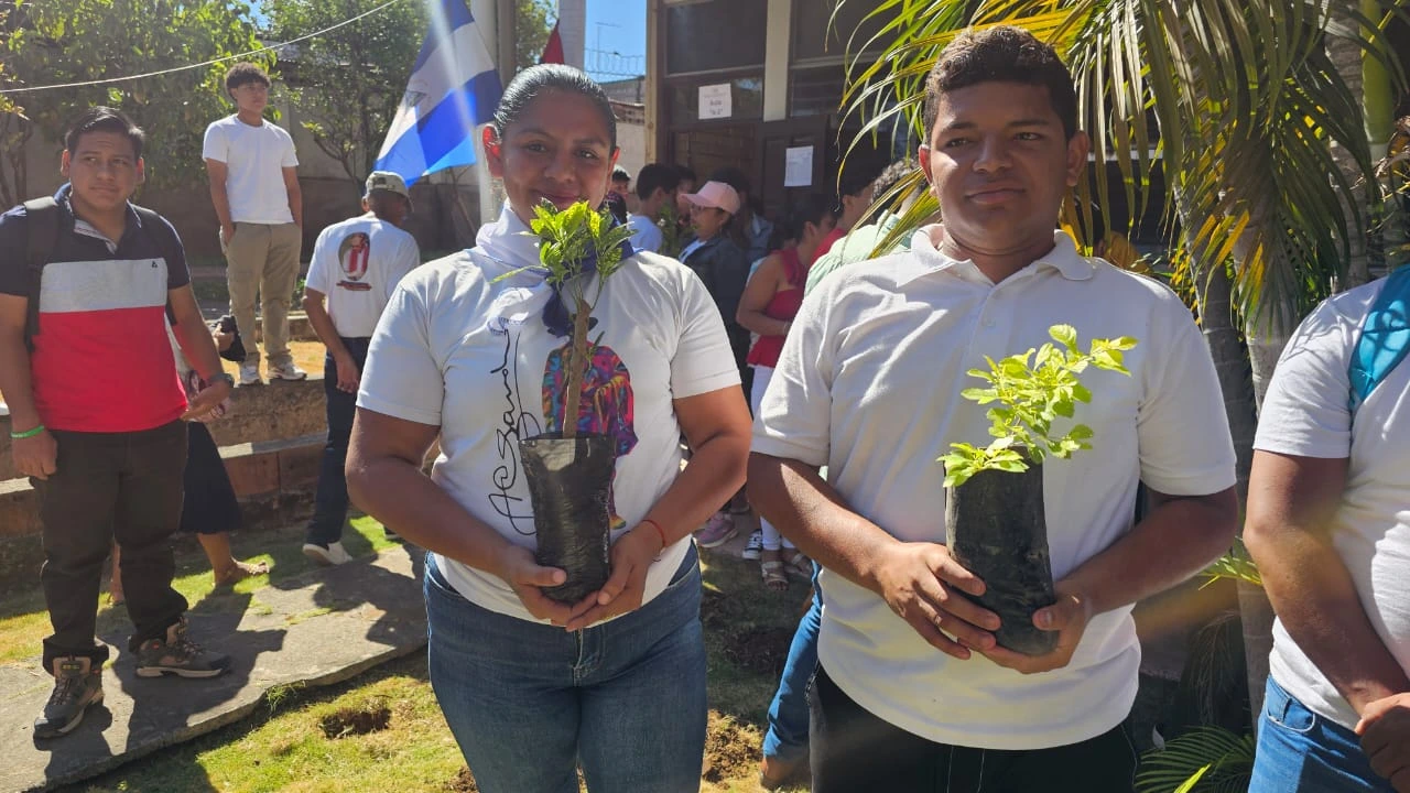 REFORESTACION12