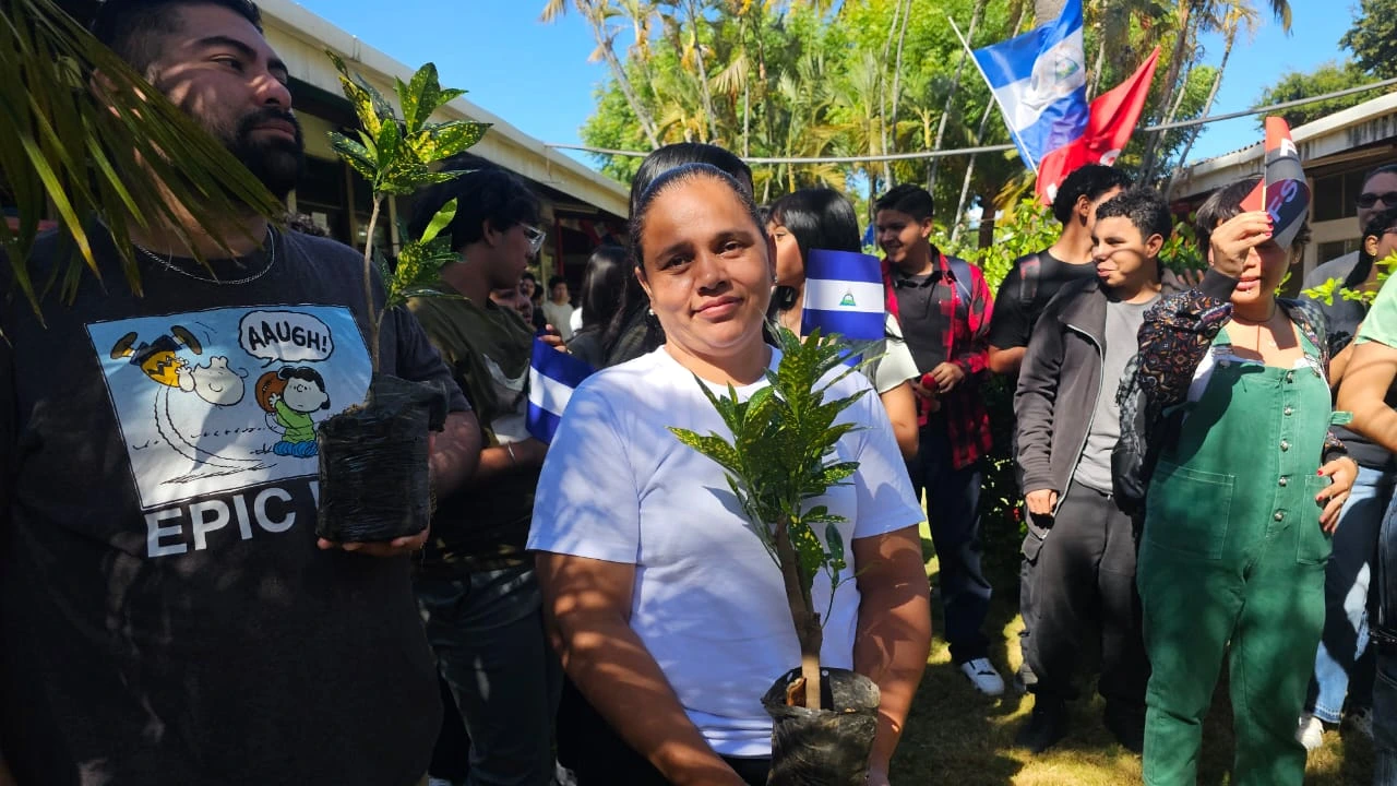 REFORESTACION13
