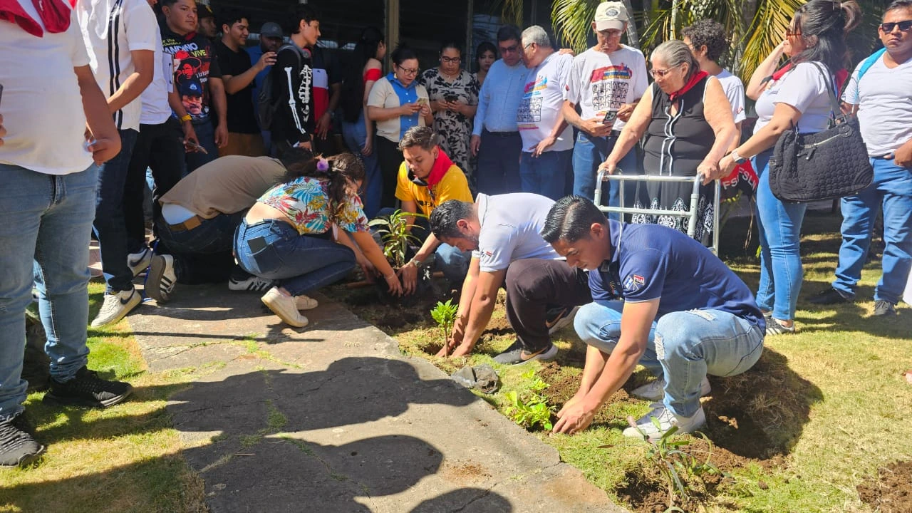 REFORESTACION2