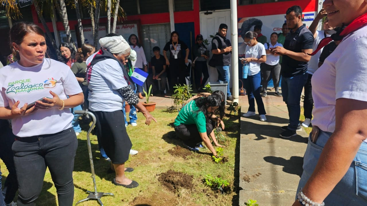 REFORESTACION3