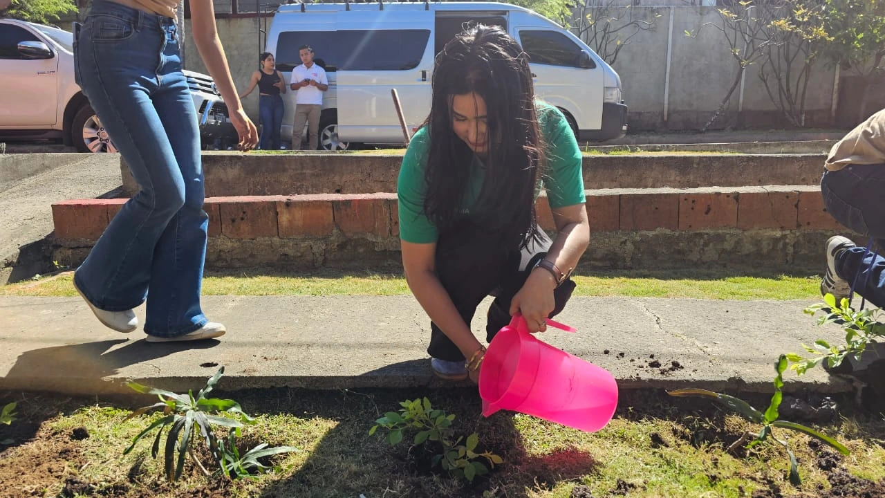 REFORESTACION6