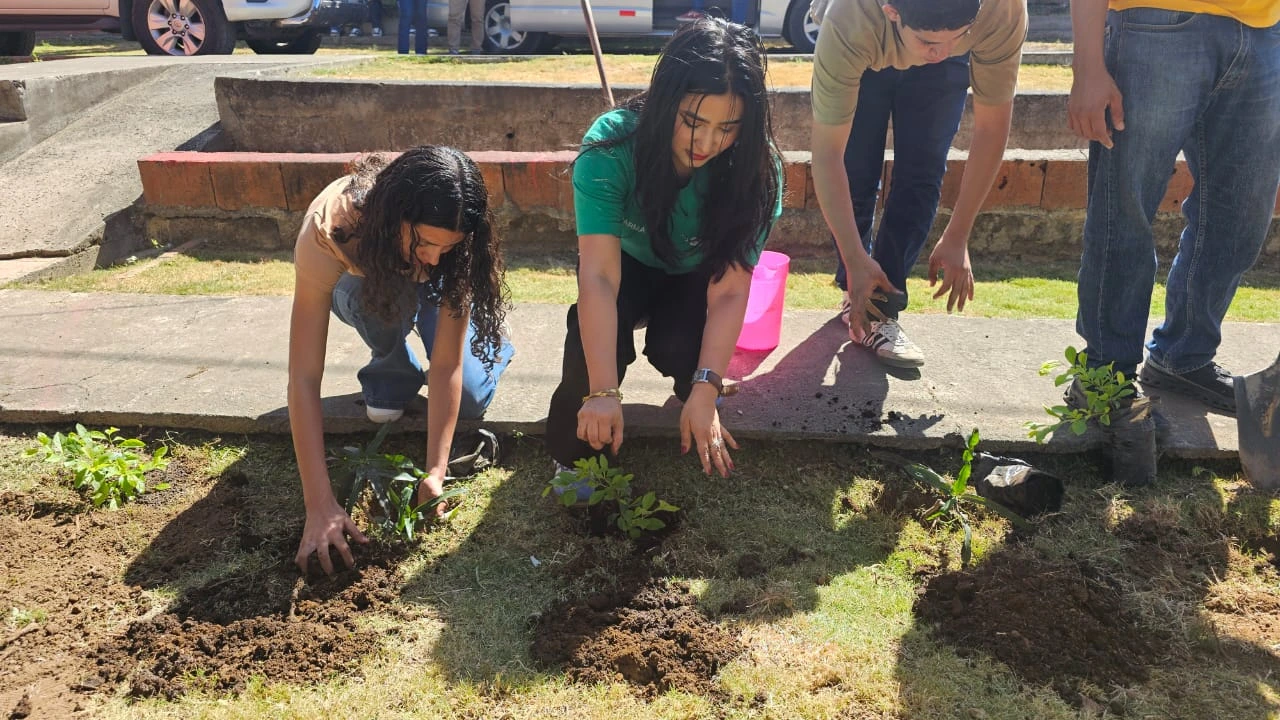 REFORESTACION7