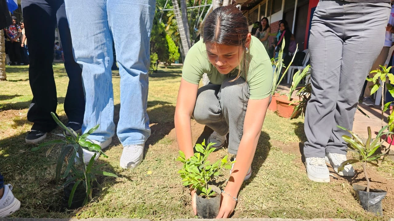REFORESTACION9