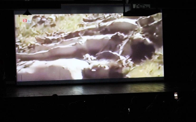 DOCUMENTAL2