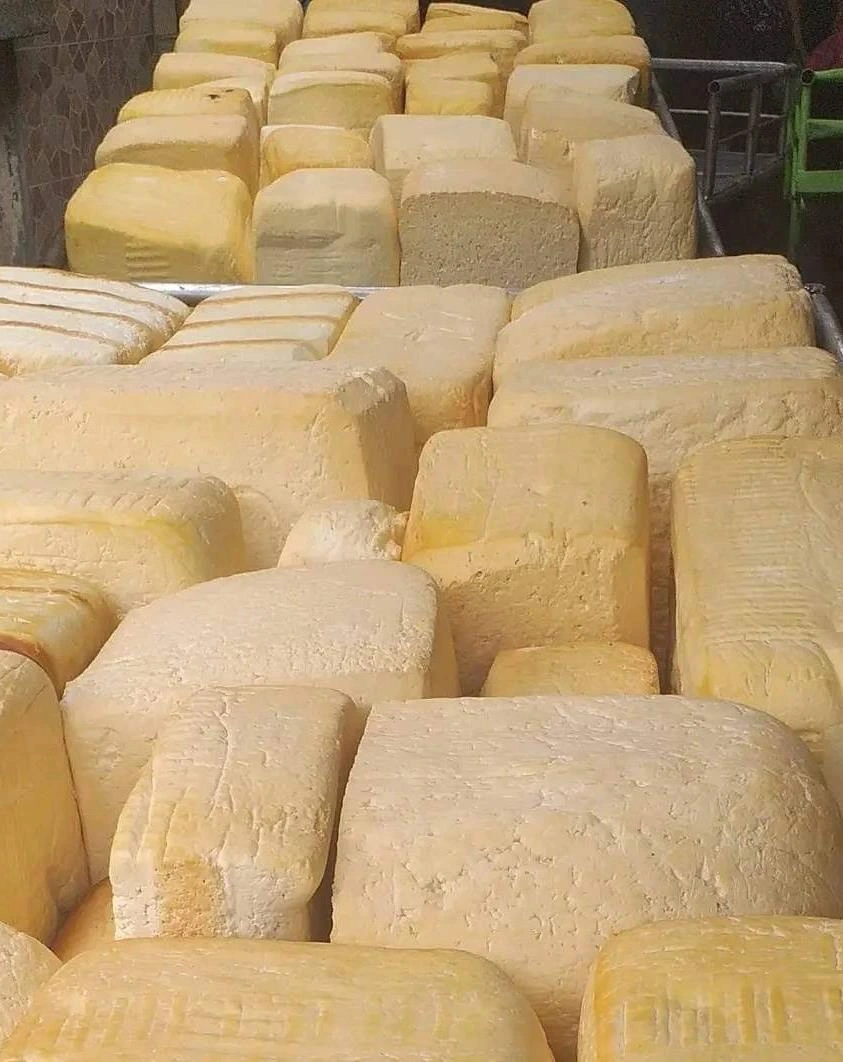 QUESO4