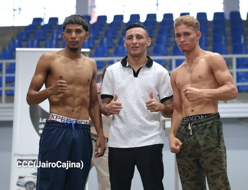 BOXEO-16