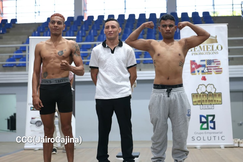 BOXEO-6