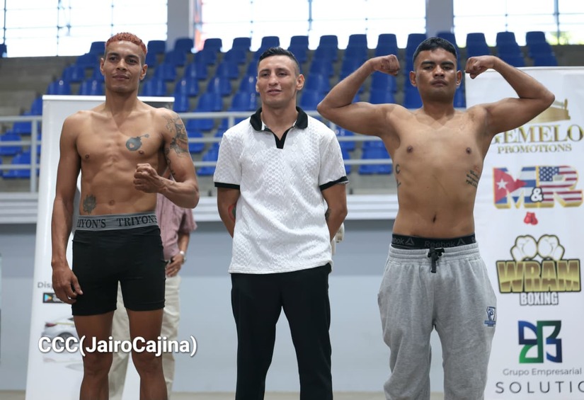 BOXEO-7