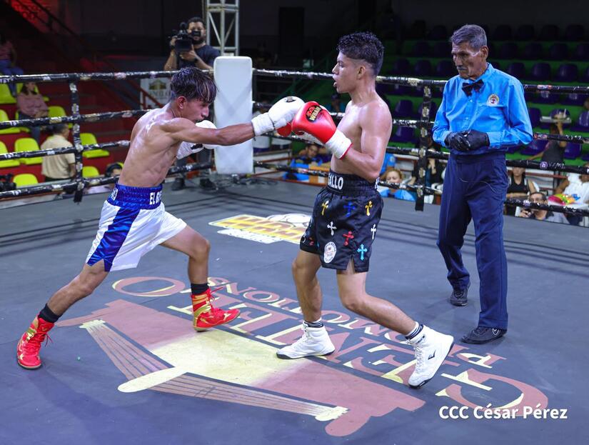 Boxeo--(25)