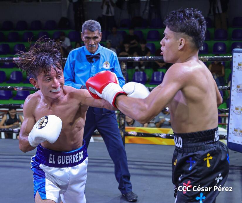 Boxeo--(29)