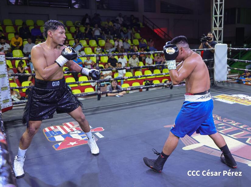 Boxeo--(36)
