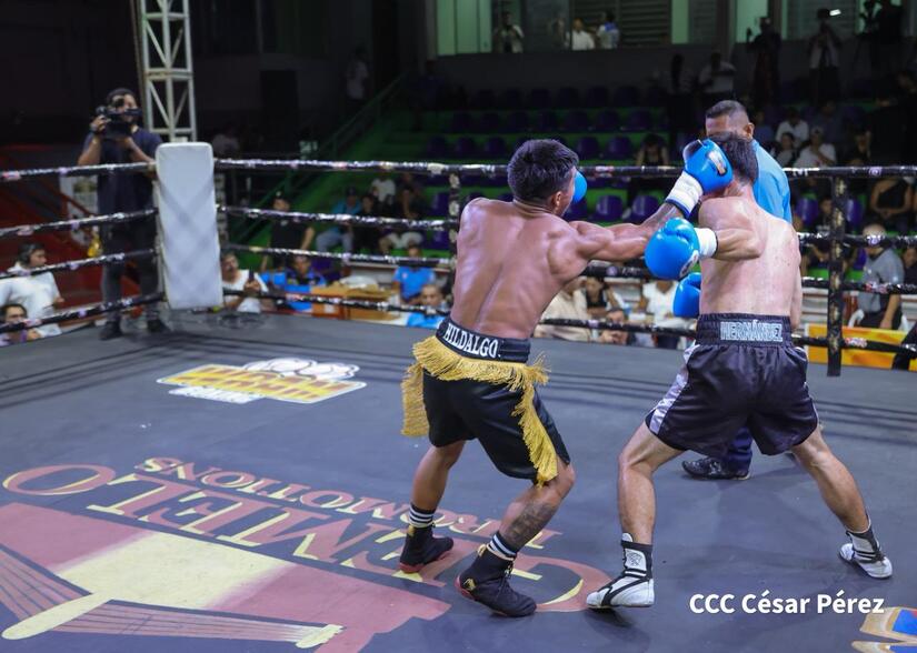 Boxeo--(37)
