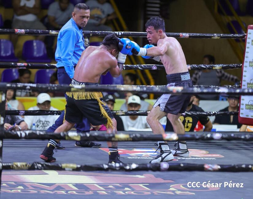 Boxeo--(4)