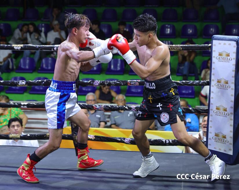 Boxeo--(8)