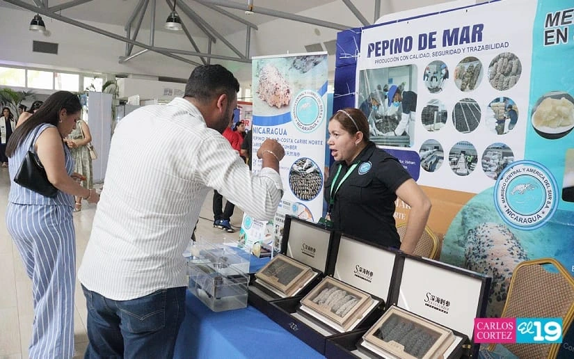 IPSA11
