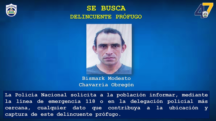 POLIC&Iacute;A-7