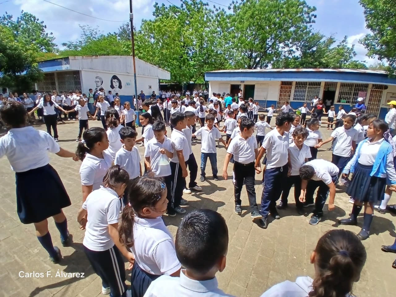 COLEGIO12