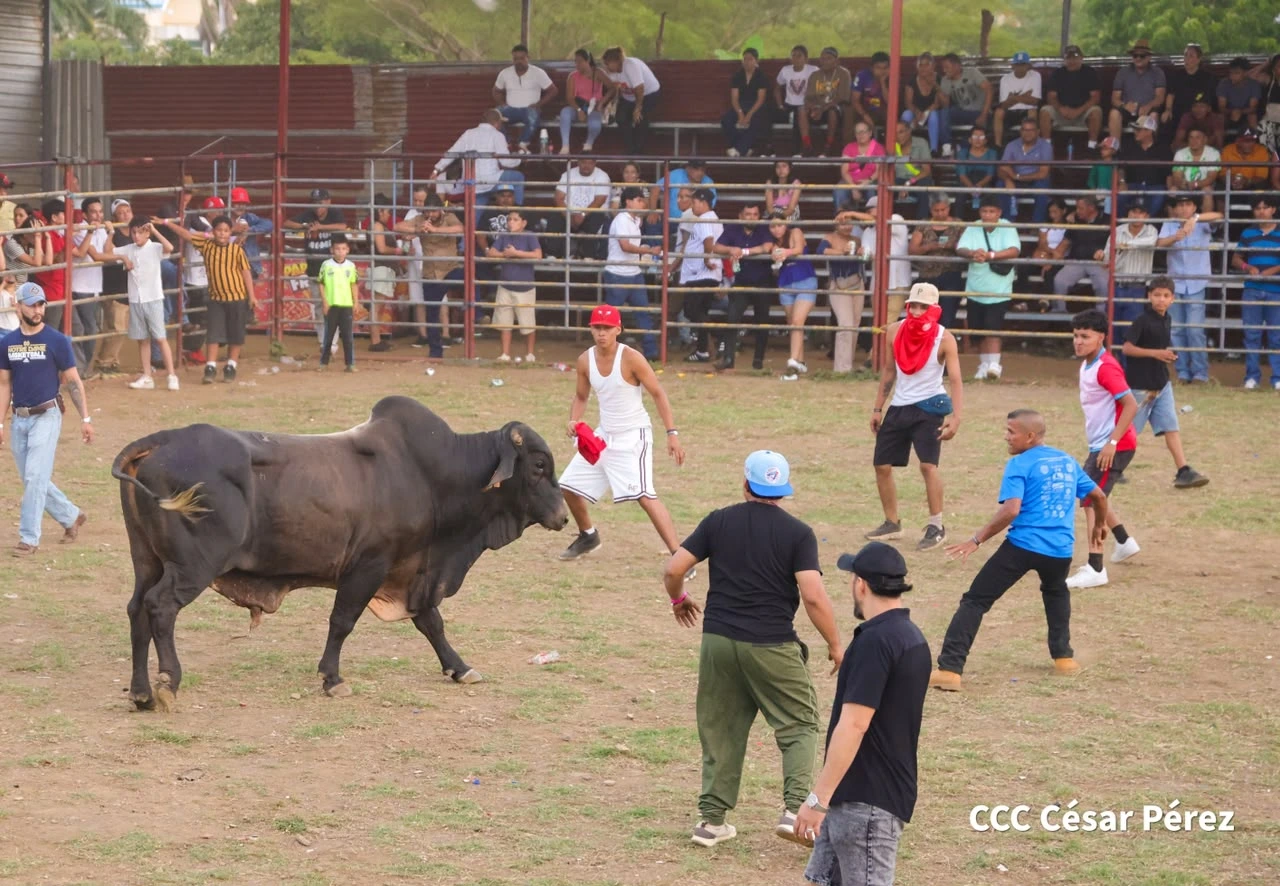 TOROS-(10)