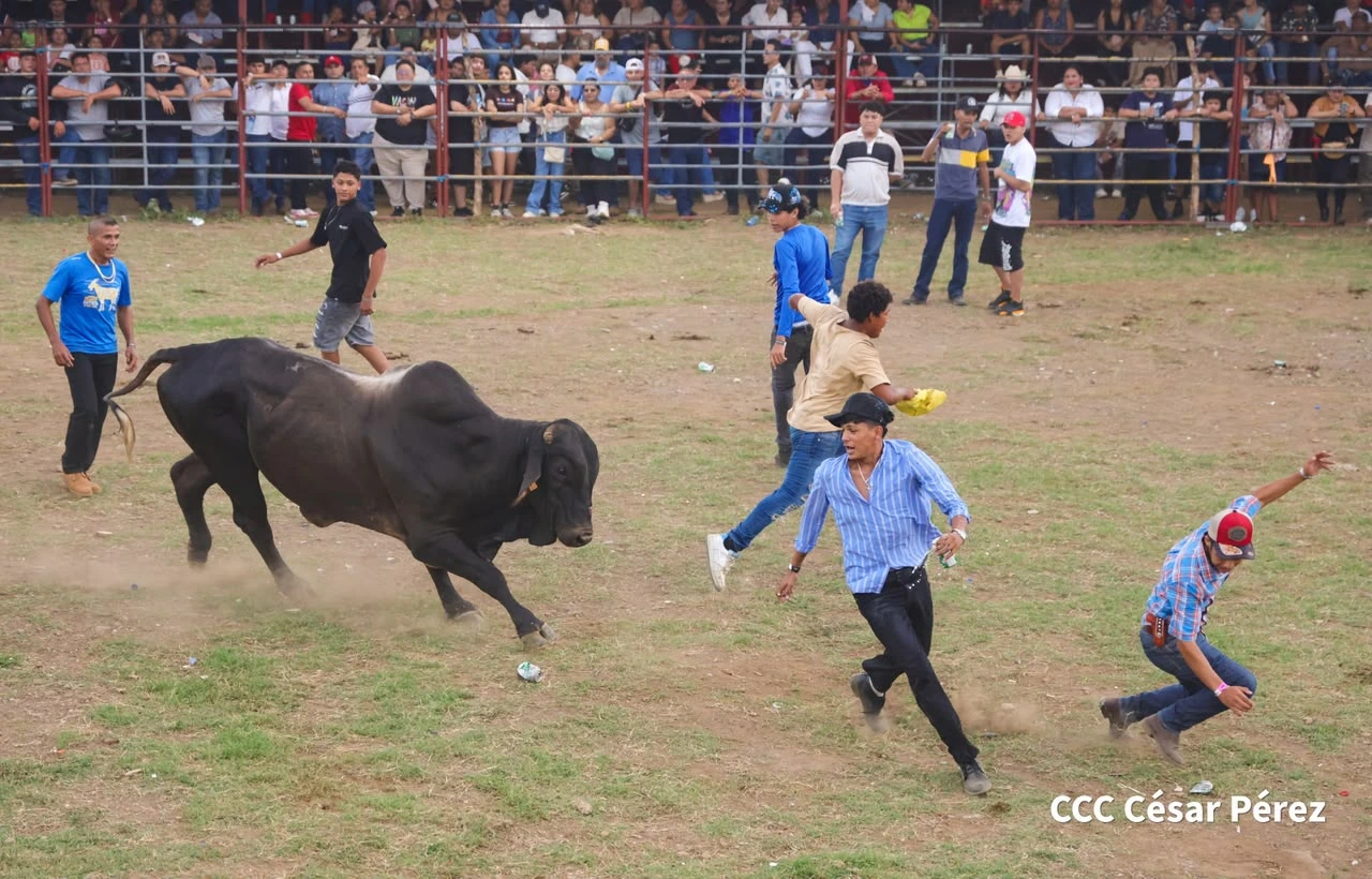 TOROS-(11)