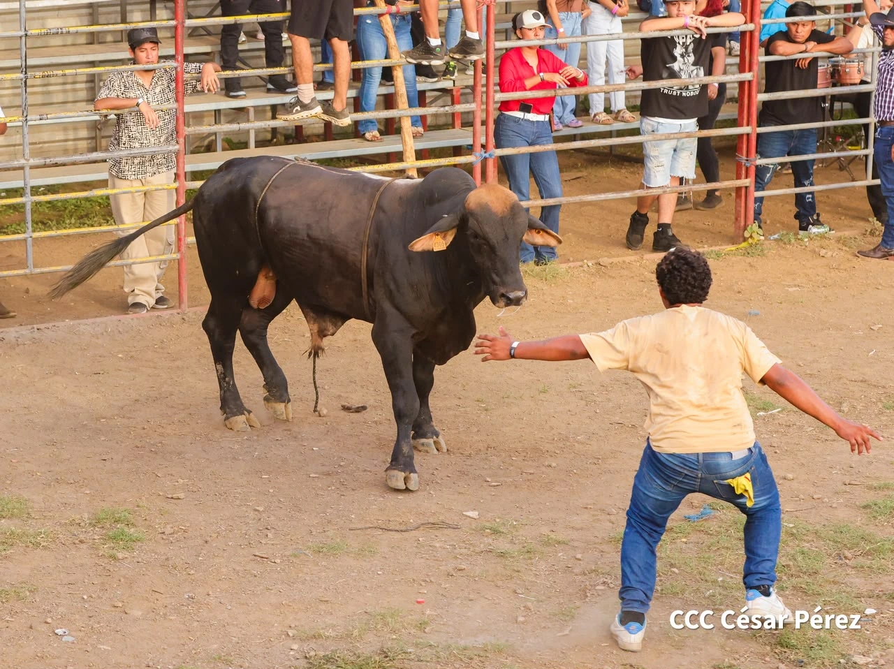 TOROS-(3)