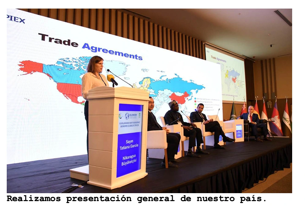 Captura-de-pantalla-2026-07-30-a-la(s)-12-16-21_11zon
