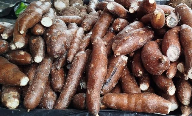 YUCA3