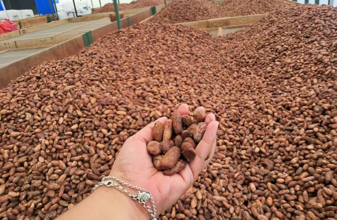 CACAO4