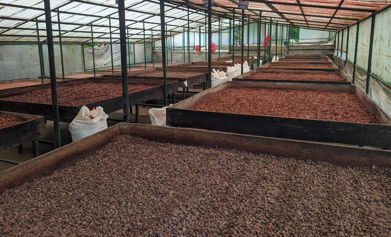 CACAO5