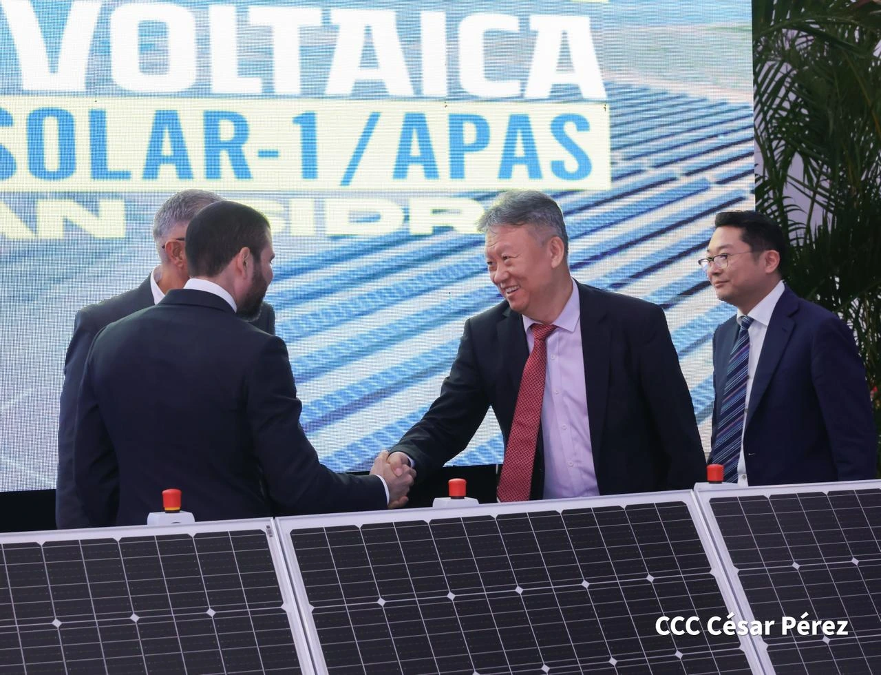PLANTA14