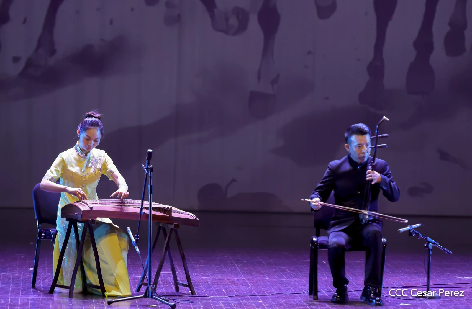 OPERA-(19)
