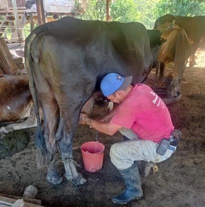 LECHE3