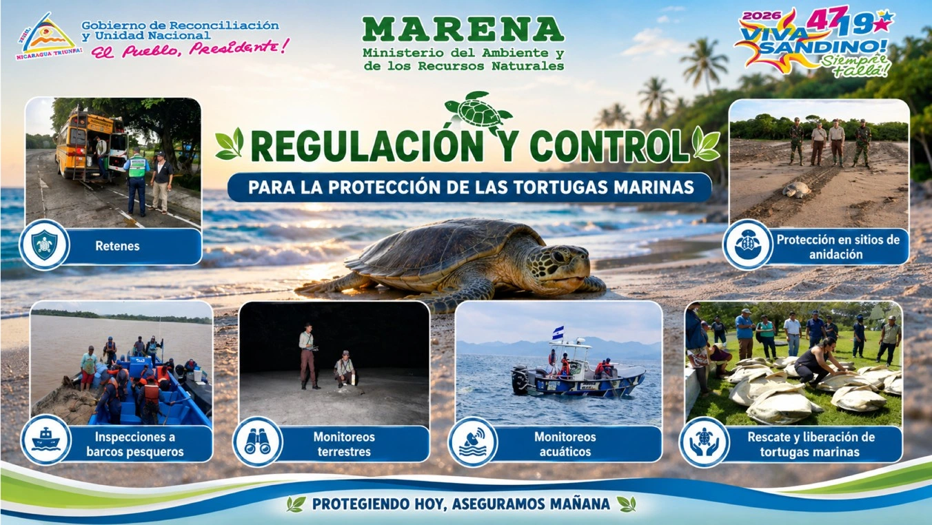 TORTUGAS6