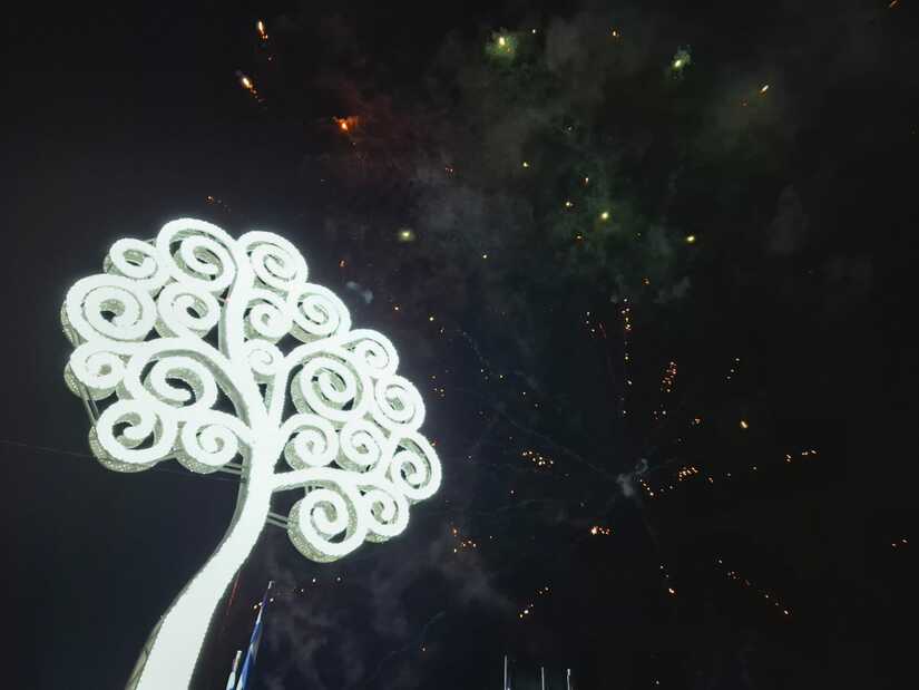 Arbol-de-la-Vida--(16)