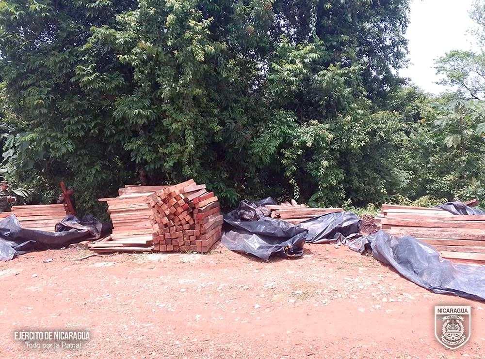 MADERA1