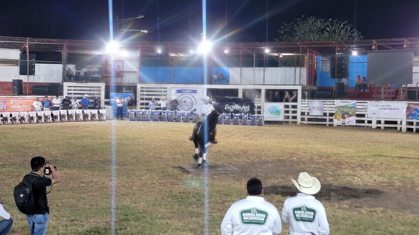 Feria-Ganadera-10
