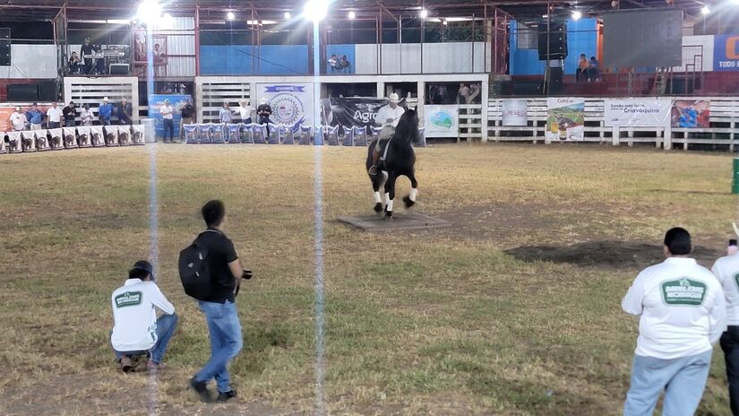 Feria-Ganadera-11