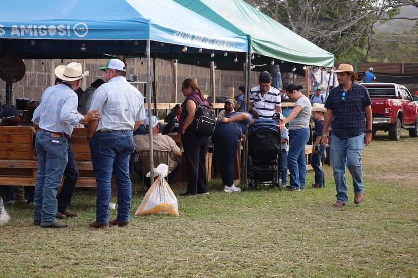 Feria-Ganadera-3
