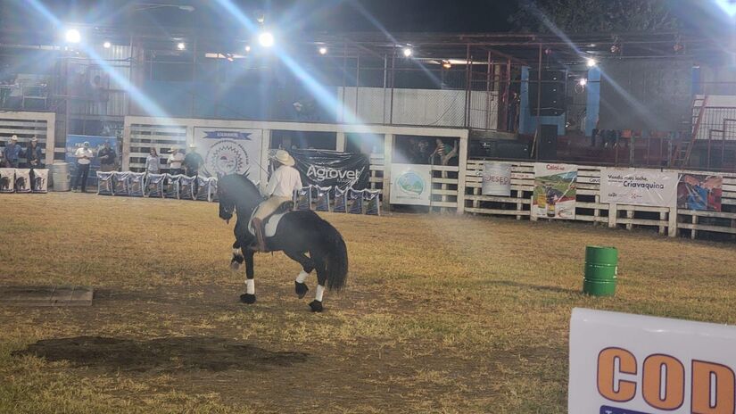 Feria-Ganadera-7