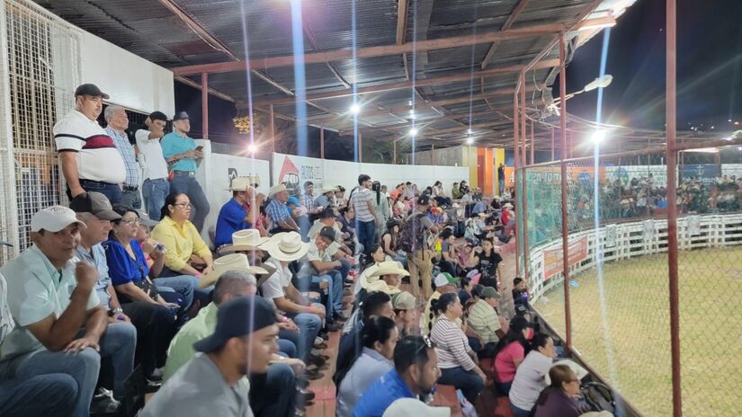 Feria-Ganadera-9