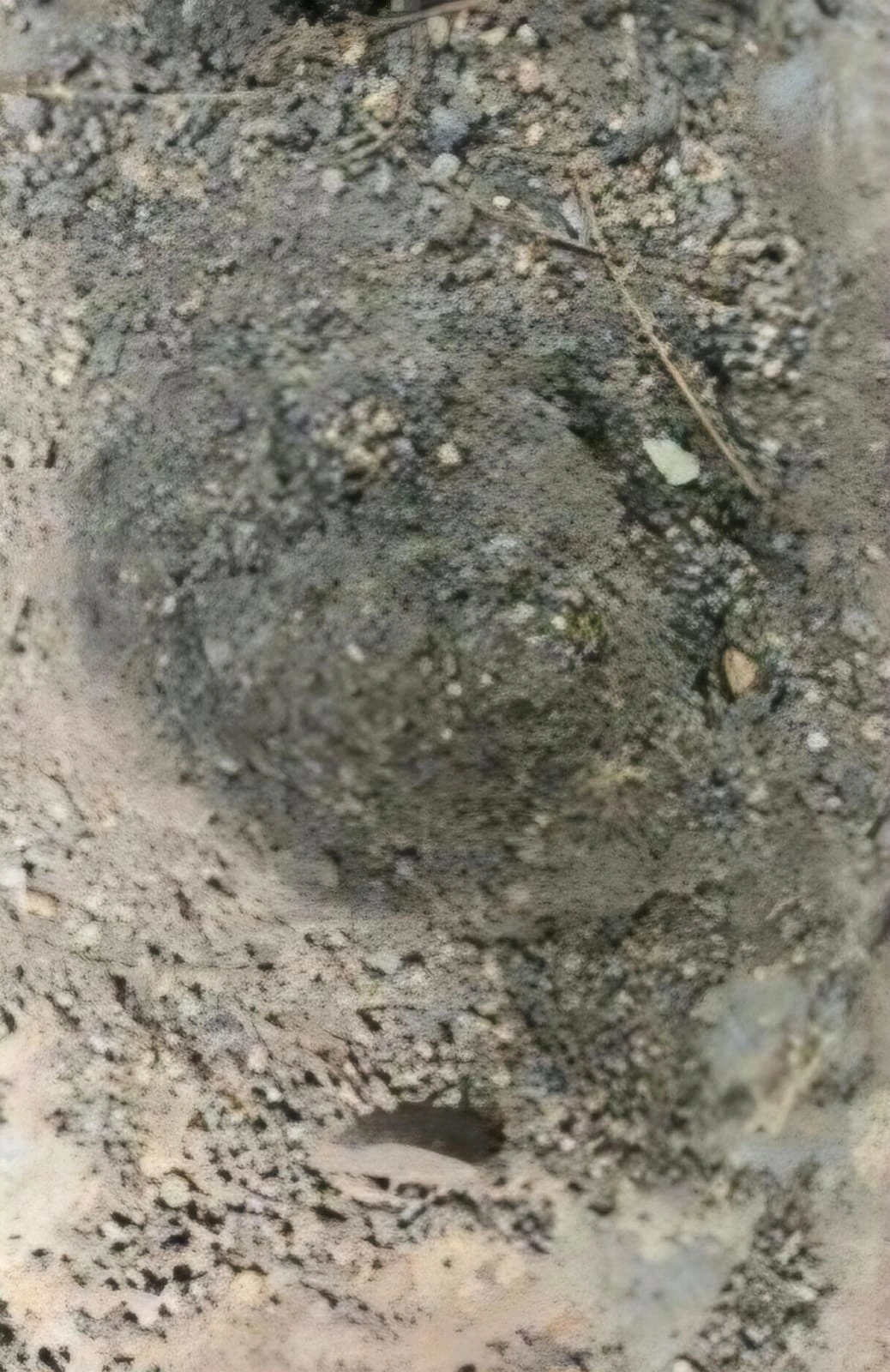AGUA5
