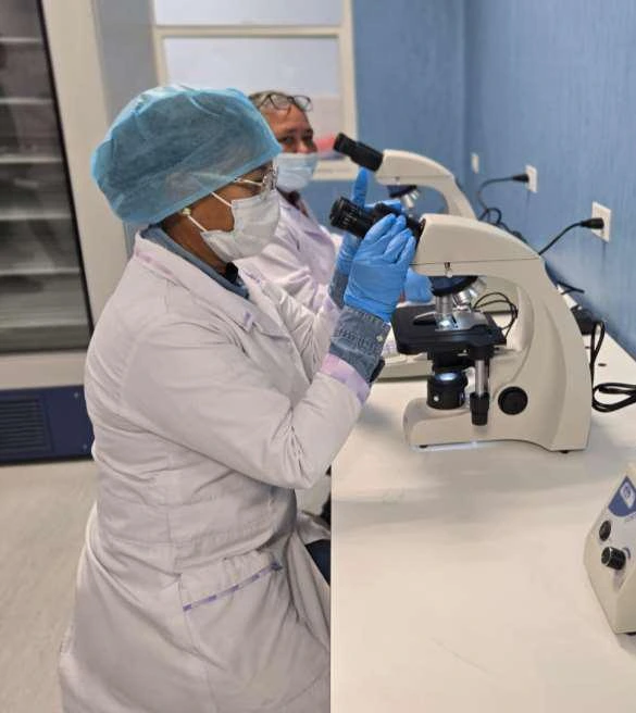 LABORATORIO1