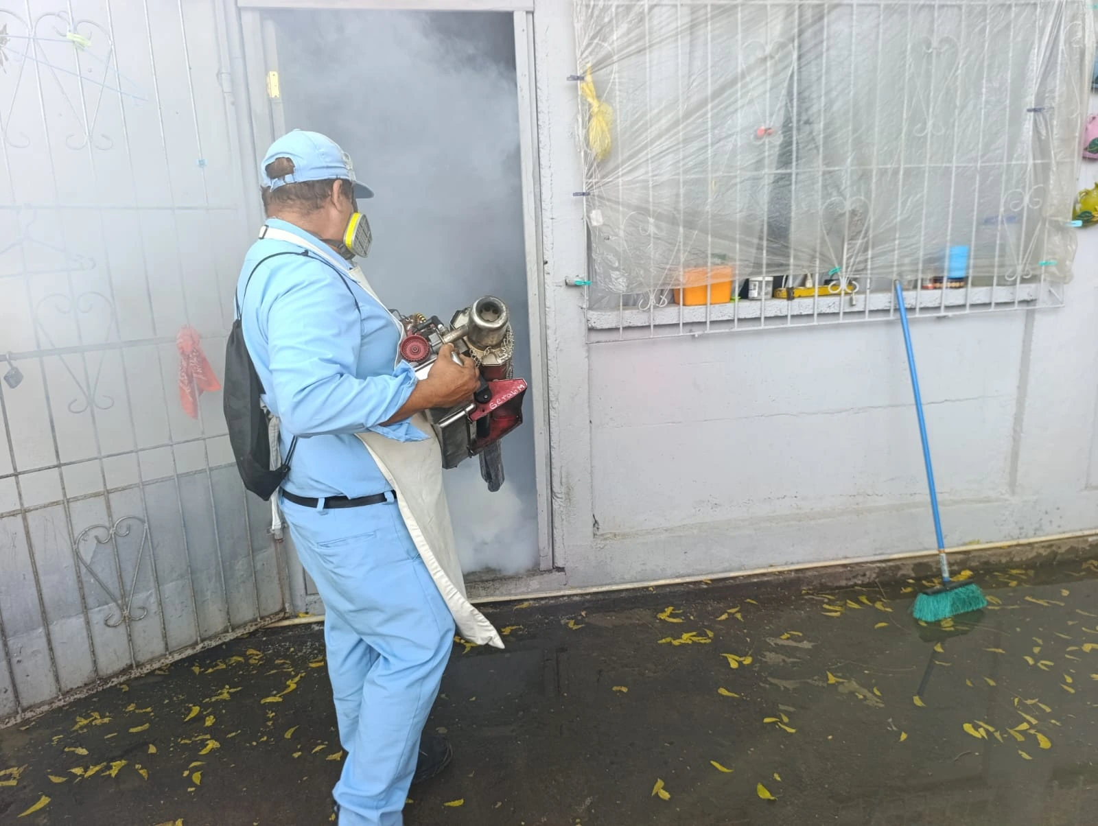FUMIGACION1